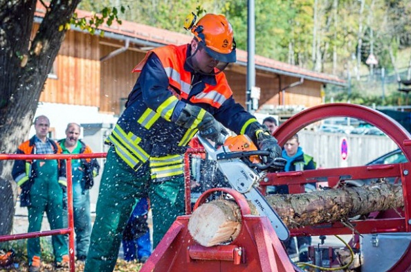 Fortbildung am "Spannungssimulator"