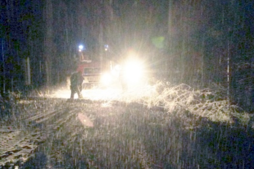Schneebruch auf der Piesenkamerstraße