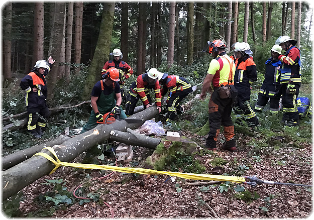 Übung Forstunfall